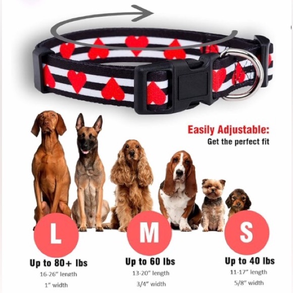 Native Pup Large Striped Heart Dog Collar - Picture 3 of 6